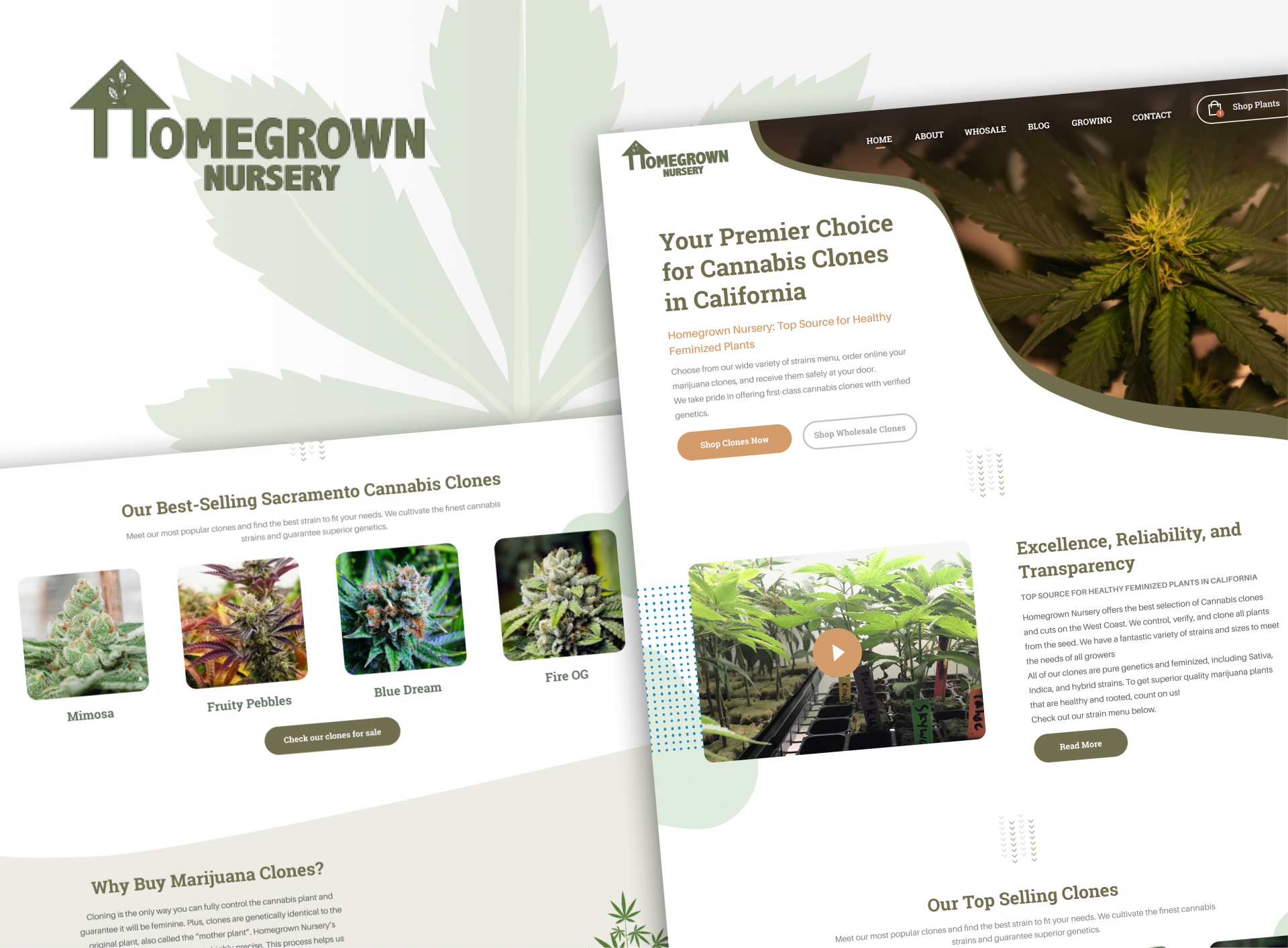 Homegrown Nursery project