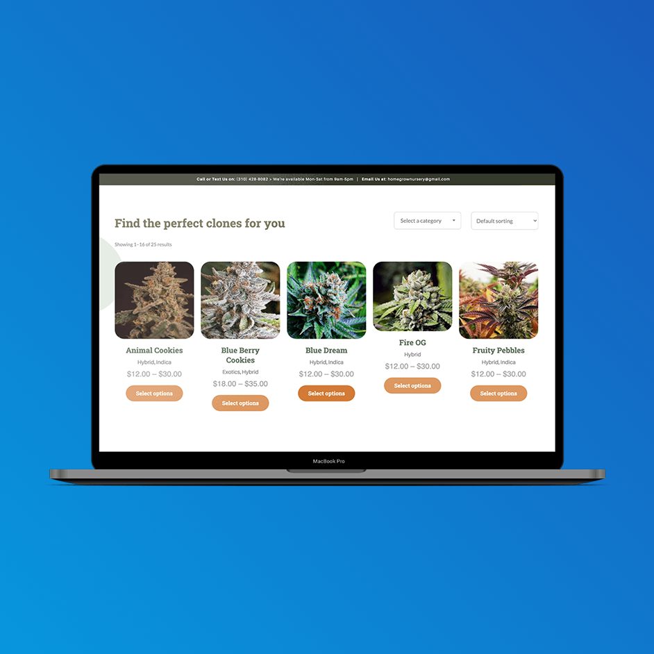 Homegrown Nursery project