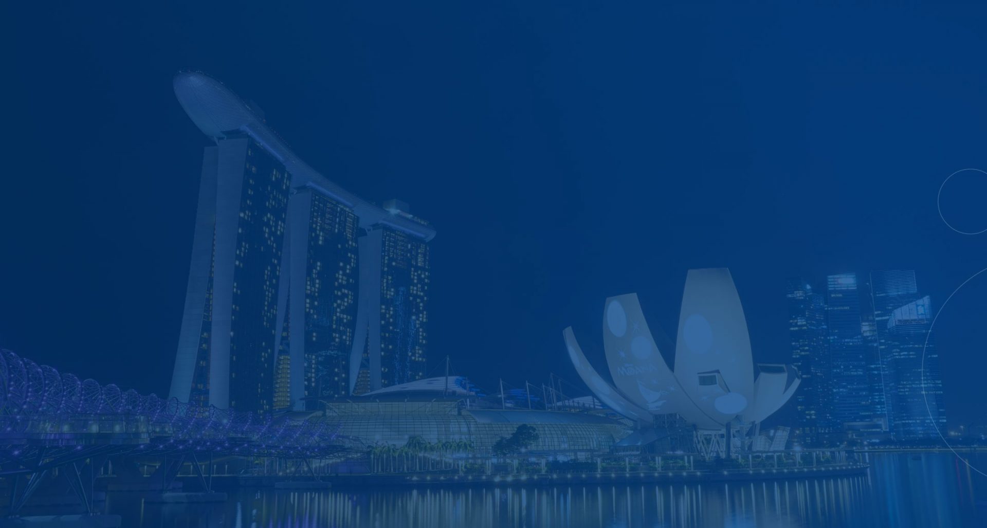 Software Development Services in Singapore Background Image